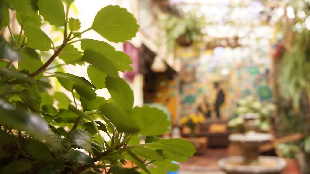 The Garden Of Blues Hostel Itagui 0*,  Colombia