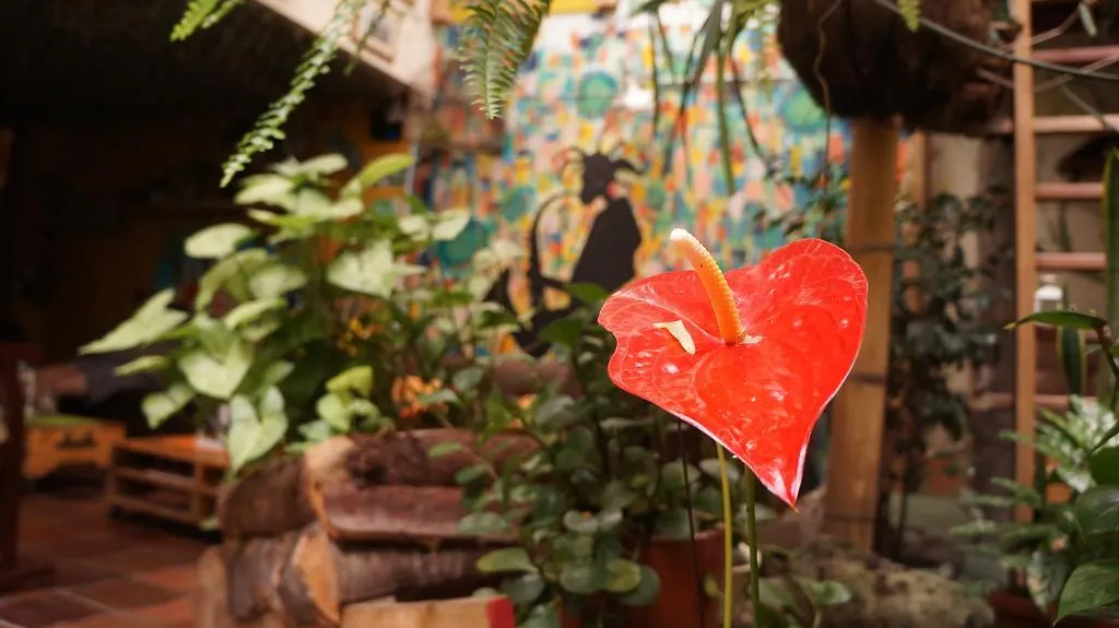 The Garden Of Blues Hostel Itagui Colombia