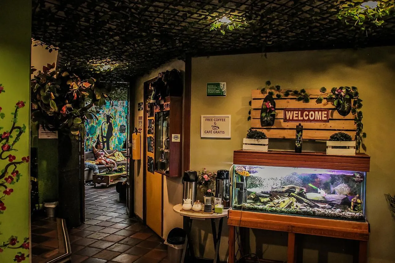 The Garden Of Blues Hostel Itagui